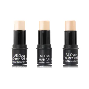 GEEN LOGO Concealer Contour Stok Kleine MOQ Corrector voor Make-Up