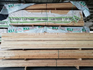 Little garden tools's warehousing shed in selling - Product Image 3