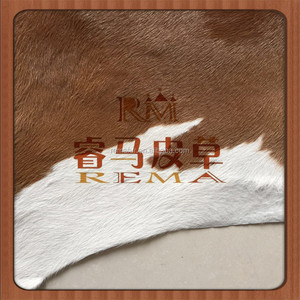 Cow <strong>Skin</strong> Rug Animal <strong>Raw</strong> Hide and <strong>Skins</strong> - Product Image 2