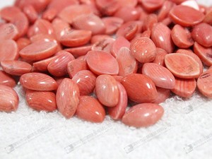 Venta al por mayor de coral natural - Product Image 2