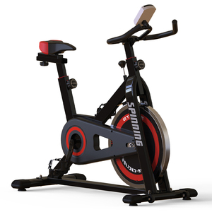 Thuisgebruik Lichaam Cyclus Indoor Nieuwe Bodyfit Magnetische Spinning Fiets