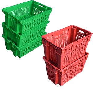 Plastic Tomato <strong>Crate</strong> for Storage and Transport of <strong>Fruits</strong> - Product Image 4