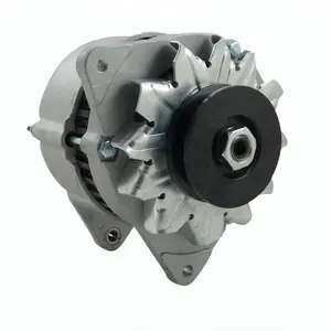 Auto motor teile 12V auto lichtmaschine für lester 12045 185046360 2871A141 2871A148 2871A154 2871A163