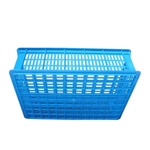 Casse di plastica leggere del canestro di stoccaggio ventilato del canestro della maglia di plastica del supermercato di QS <span class=keywords><strong>per</strong></span> <span class=keywords><strong>frutta</strong></span> e verdura - Product Image 1