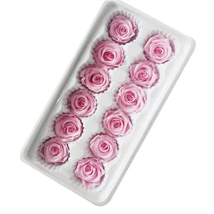 Floristic Decoration Material Freeze Dried Flowers Preserved Rose from Kunming