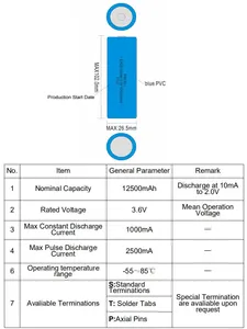 Einweg Lithium-primäre batterie er261020 3,6 v 16000 mAh größe CC lisocl2 batterie für medizinische geräte