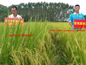 Inhibitor Dmpp Compound Fertilizer Classification Rice Fertilizer NPK22-8-10