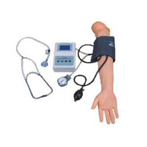 ADA HS7 Model anatomi canggih untuk pengukuran tekanan darah pelatihan kehidupan ukuran PVC Simulator sains medis - Product Image 1
