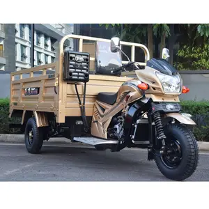 Loncy — tricycle moto boutonnée, 3 roues, camion cargo