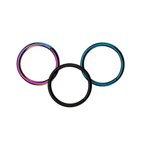 Titanium Anodized 316L Surgical Steel Cartilage Nose Round Segment Ring