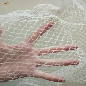 Manufacture Invisible Trap Nylon Bird Netting,Anti Bird Net,Bird Netting For Sale