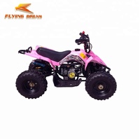Mini Quad ATV 4 Roues 2 Temps 49cc 50cc 110cc 125cc pour Enfants, Quad Enfant à Moteur Thermique 50cc 49cc