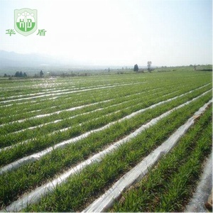 Película <span class=keywords><strong>de</strong></span> Cobertura para Mulching Huadun Negra y Plateada, Anti-Planta, <span class=keywords><strong>de</strong></span> Alta Resistencia, con Material <span class=keywords><strong>de</strong></span> PE, Precio <span class=keywords><strong>de</strong></span> Fábrica - Product Image 1