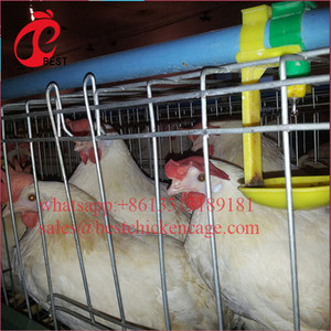 Lowest <span class=keywords><strong>Price</strong></span>小屋200鳥層価格ブロイラー鶏飼育ケージ高品質 - Product Image 2
