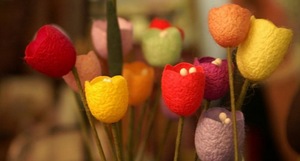 Bozzoli di Seta Colorati per Ricerca, Esperimenti e Arte - Product Image 6