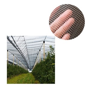 EGP HDPE grand <span class=keywords><strong>filet</strong></span> de protection contre la <span class=keywords><strong>grêle</strong></span> blanc <span class=keywords><strong>anti</strong></span>-<span class=keywords><strong>grêle</strong></span> pour pommier agriculture - Product Image 1
