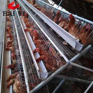 Tanzania Layer Poultry Farm Chicken Cage For Sale