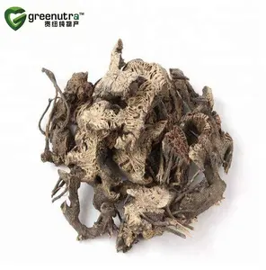 Rhizoma Cimicifugae Chiết Xuất Bột