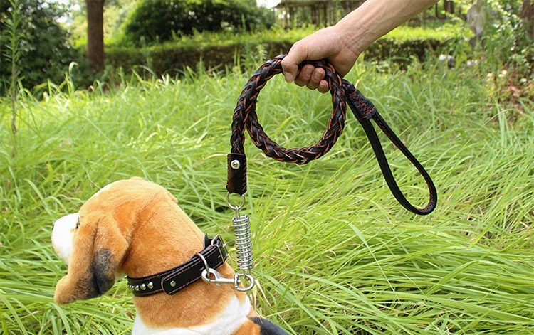 Réglable Doux Rivet En Cuir Tressé de Conception de Laisse Et Collier De Chien De Luxe Ensemble Collier Et Laisse Pour Chien