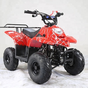 <span class=keywords><strong>Quad</strong></span> Tao Motor BOULDER 110cc à 4 roues, transmission par chaîne, homologué EPA ECE, idéal pour la course et l'agriculture - Product Image 4