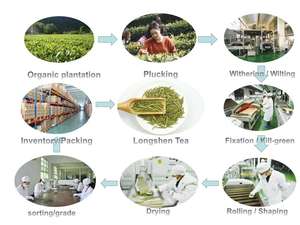 Guan Yin Thé Feuille Le Vert <span class=keywords><strong>De</strong></span> Chine Bio Tikuanyin Vert <span class=keywords><strong>Oolong</strong></span> Thé - Product Image 5