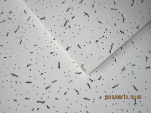 Trần giả sợi khoáng cách âm - Product Image 3