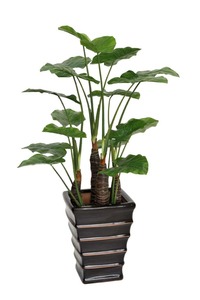 منازل وحدائق-oasia, شجرة الأذن Alocasia بوعاء النبات عالية الجودة مخصص شكل حقيقي النمر الفيل البلاستيك داخلي مقاوم للماء 20 "حاوية قبول - Product Image 2