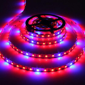 ENJO Lámparas de <span class=keywords><strong>cultivo</strong></span> y partes de las mismas rojo azul 5050 grow <span class=keywords><strong>LED</strong></span> strip Light para el crecimiento de las plantas - Product Image 5
