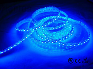 La cuerda del LED envío muestra de prueba de agua tubo de silicona RGB azul DC 12 V 60 <span class=keywords><strong>Leds</strong></span> SMD3528 flex LED strip light tape - Product Image 2