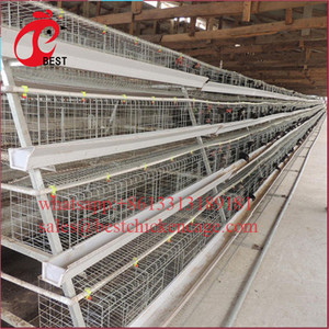 Nouvelle conception de cage d'élevage de volailles de type H, poulailler à 3 niveaux, cages à batterie pour <span class=keywords><strong>poules</strong></span> <span class=keywords><strong>pondeuses</strong></span>, vente en Algérie à bas prix - Product Image 1