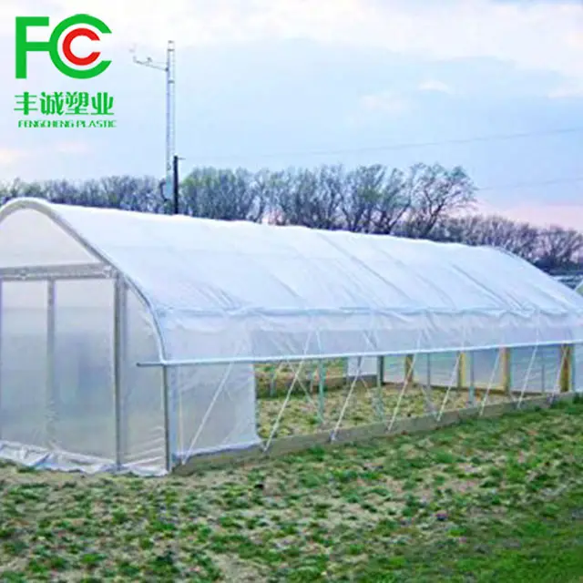 China wholesale 4 seasons single span commercial agriculture greenhouse