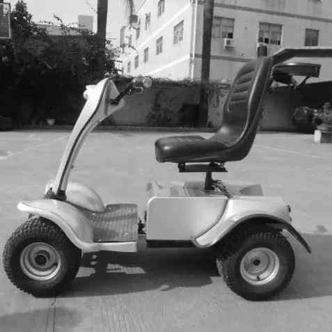 Golf Baru Kereta dengan Menangani Control | Listrik Baru Satu Orang Golf Cart dengan Tas Golf dan Payung Bracket