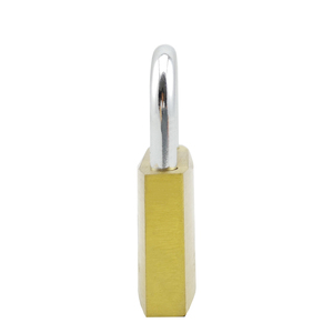 Nuevo estilo, buena calidad, <span class=keywords><strong>precio</strong></span> razonable, antirrobo, ecológico, duradero, endurecido, cerradura de llave de puerta, cerradura <span class=keywords><strong>Bombay</strong></span> de latón - Product Image 4