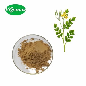 Free Sample Natural 10:1 Celandine Extract Chelidonium majus Extract Powder Chelidonium Extract