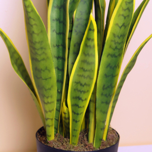 <span class=keywords><strong>Planta</strong></span> ornamental artificial para decoración de interiores, <span class=keywords><strong>planta</strong></span> de <span class=keywords><strong>serpiente</strong></span> bonsái, sansevieria Agave - Product Image 4