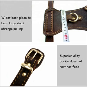 Harnais de chiens en cuir véritable, grande taille, de bonne qualité - Product Image 3