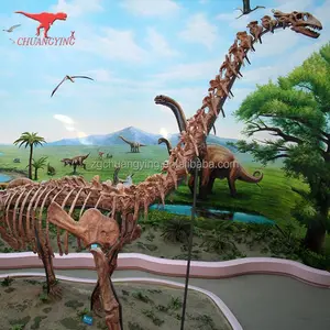 Brachiosaurus कंकाल मॉडल टी-रेक्स जीवाश्म संग्रहालय के लिए