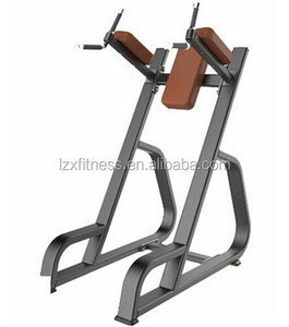 LZX-1036 Genouillère Verticale/Dip/Équipement De Conditionnement Physique Commercial - Product Image 1