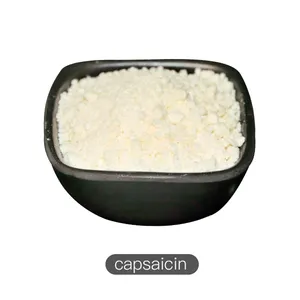 Wholesale Supply Hot Sale Soluble in oil synthetic Capsaicin Powder Bulk Price