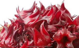 Obral Basis Penanaman ROSELLE Kembang Sepatu Merah Kering Bunga Sabdariffa untuk Dijual - Product Image 4