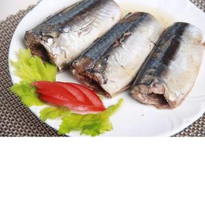 Manufacture price mackerel in can in brine mackerel can brine canned mackerel