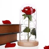 Rosa Roja flor florero los niños Led noche lámpara 3D de Rosa Luz