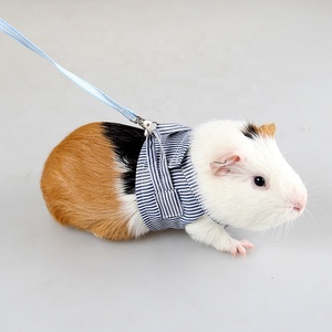 Heyri Hewan Peliharaan Kecil Musim Panas Pakaian Hewan Peliharaan Hamster Harness Leash Set Guinea Pig Tupai Kelinci Tikus Tikus Hamster Tali Harness - Product Image 2