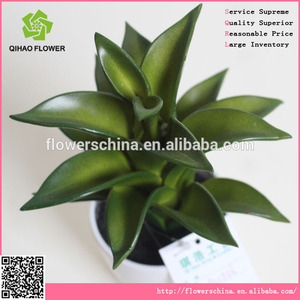 Bonita artificial <span class=keywords><strong>bonsai</strong></span> aloe para prettifing - Product Image 2