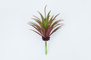 Piante <span class=keywords><strong>Succulente</strong></span> Artificiali Singole di Alta Qualità, Splendide Piante Finte <span class=keywords><strong>in</strong></span> Plastica con Effetto Realistico al Tatto - Product Image 5