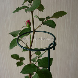 Supports de plantes grimpantes en fil d'acier galvanisé vert foncé pour la culture de légumes et de fleurs - RAPITECH PS006-01 - Product Image 1