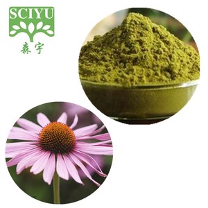 Số Lượng Lớn 4% Polyphenol Echinacea Bột Chiết Xuất Purpurea Chiết Xuất Từ Hoa Lá Xanh Tím - Product Image 3