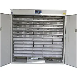 Incubateur automatique pour 5000 œufs, incubateur industriel robuste pour l'éclosion des œufs - Product Image 1