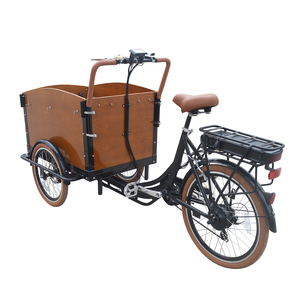Bicicleta de carga eléctrica de carga frontal para niños, Pedal de 6 velocidades, 150 kg, estándar europeo - Product Image 4