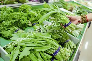 Cinta de embalaje bopp para uso vegetal, para empaquetado de verduras en supermercados o en el mercado de alimentos